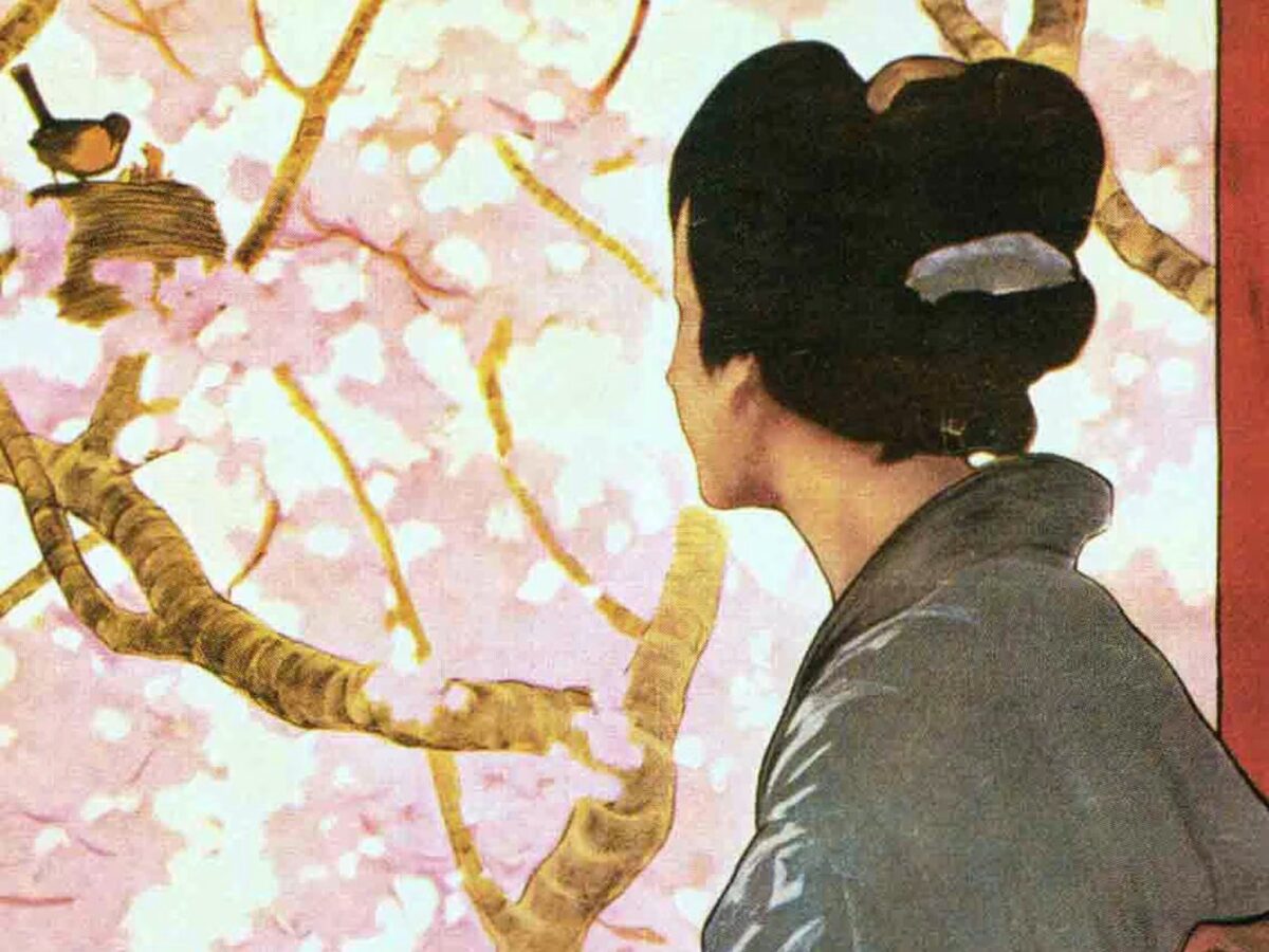 Un Cacho de Cultura: La mujer que esperó demasiado o el sacrificio de Butterfly