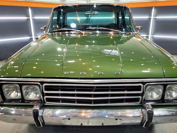 Memorias de un Falcon Verde: Ensayo sólo para argentinos con Historia