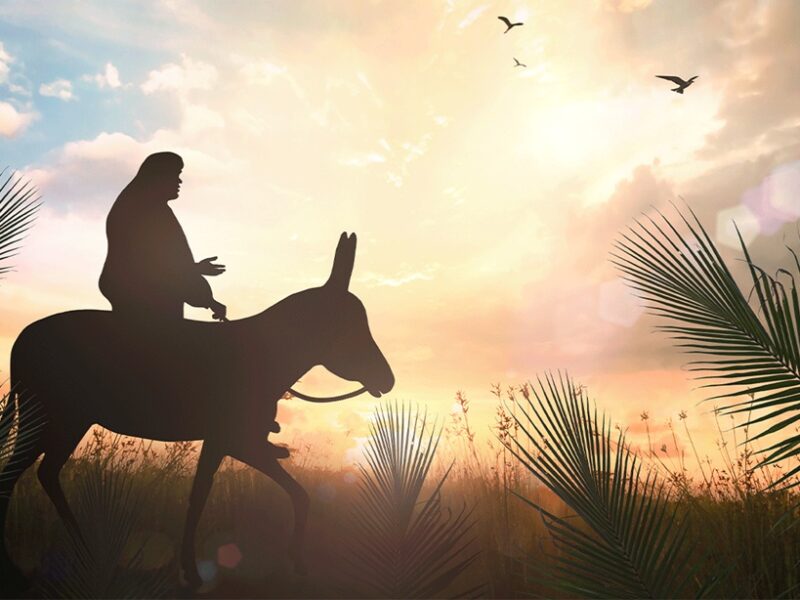 El Domingo de Ramos o la experiencia política del Cristo