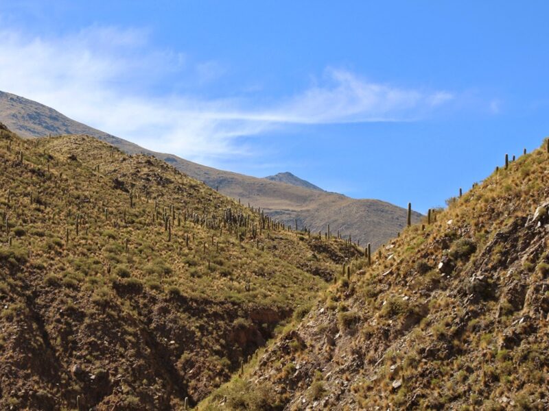 Un Cacho de Cultura: El Antigal en los Valles Calchaquíes, el umbral hacia nuestra memoria sagrada