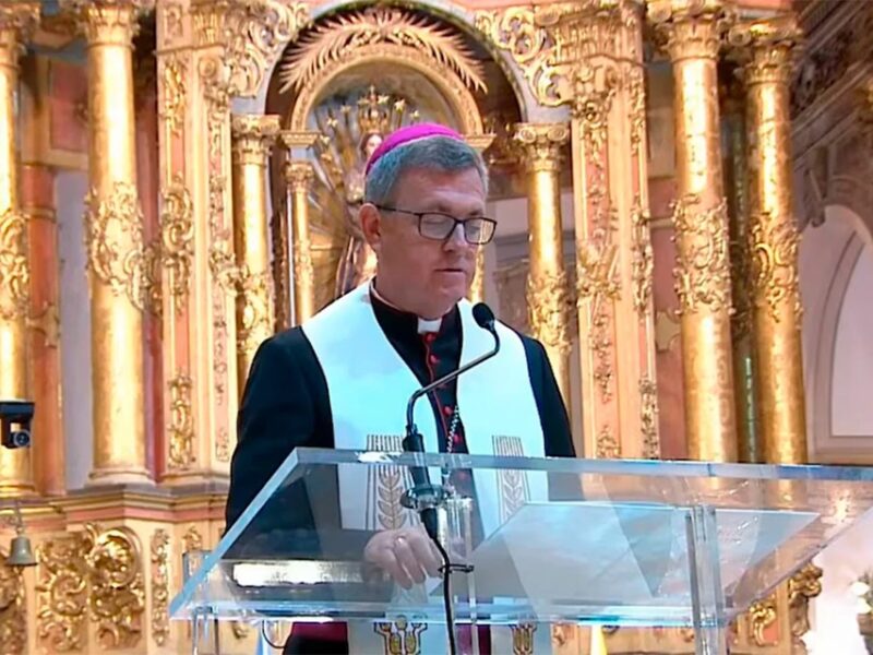Te Deum libertario: De acto de acción de gracias a ring de disputas políticas