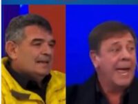Sobre lo procaz, lo ordinario y lo boludo